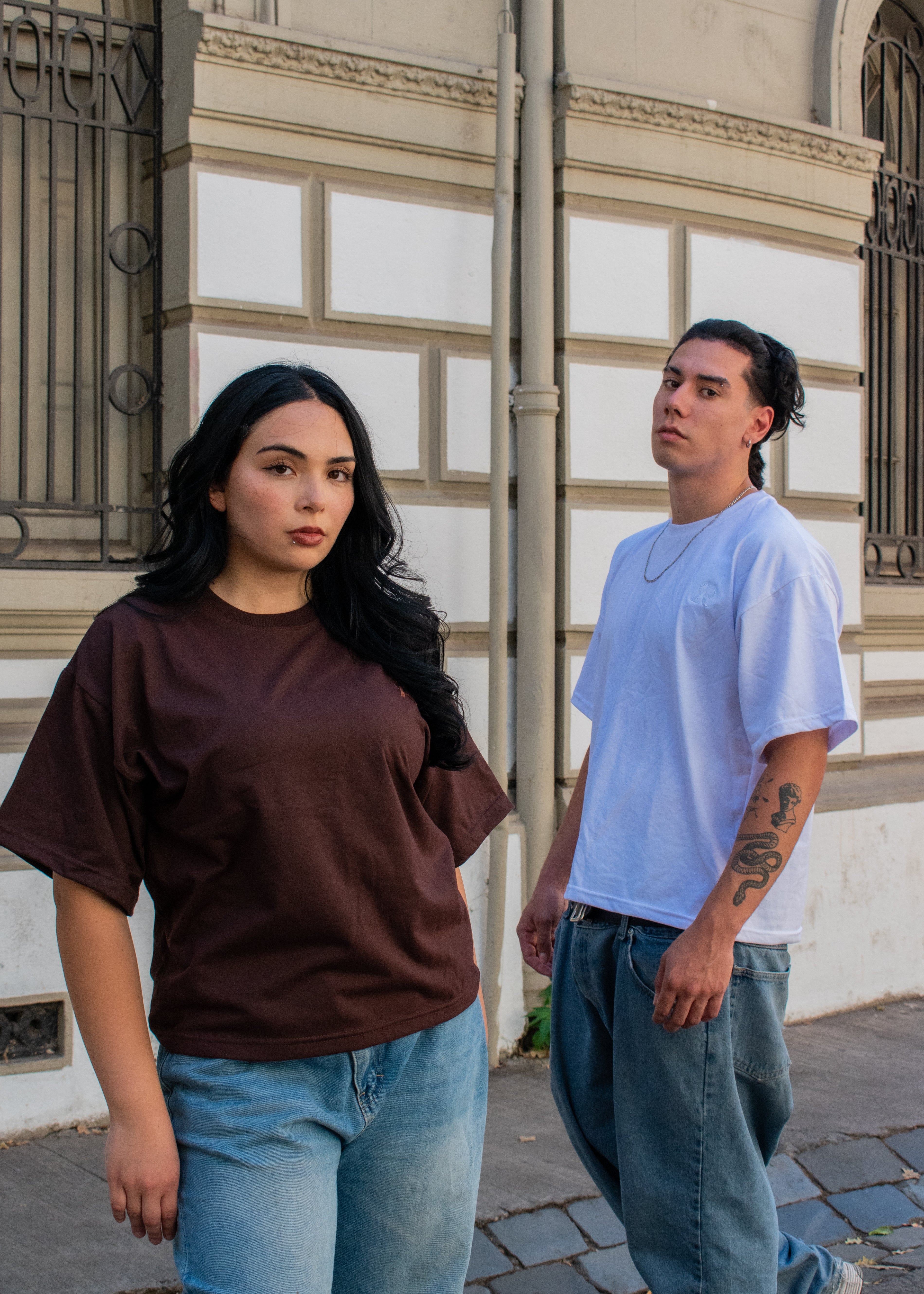 Polera Boxy BASICS Brown