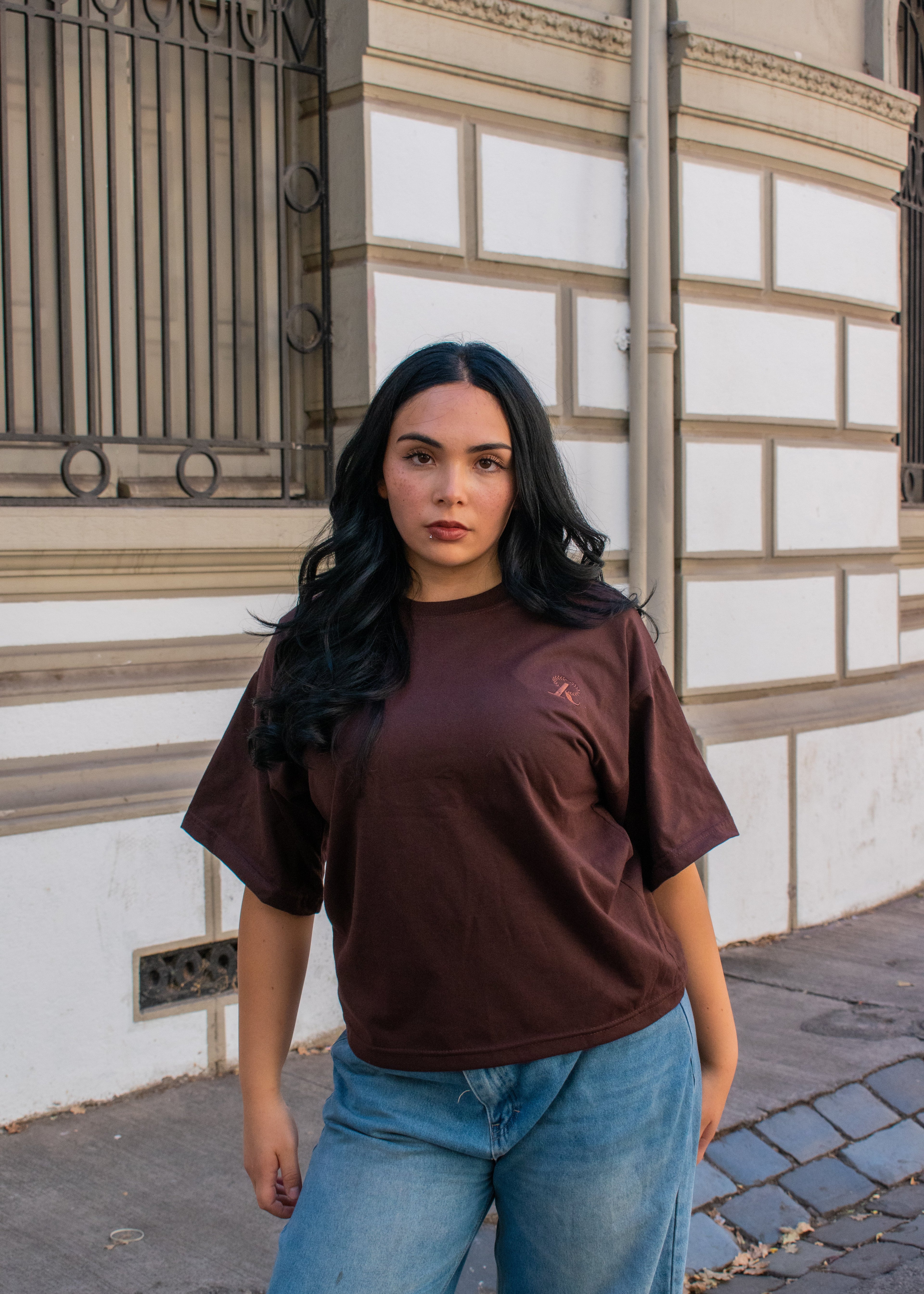 Polera Boxy BASICS Brown