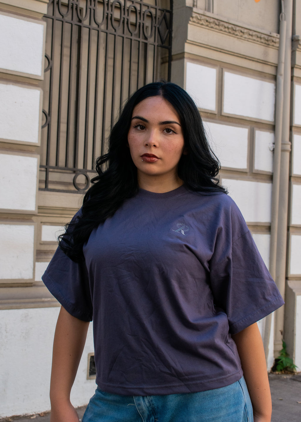 Polera Boxy BASICS Steal Grey